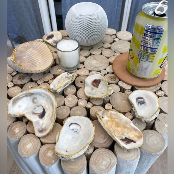 Christmas Advent Countdown Set of 12 Oyster Shells 🎁Wrapped Gives Back🎗️ - Picture 9 of 10